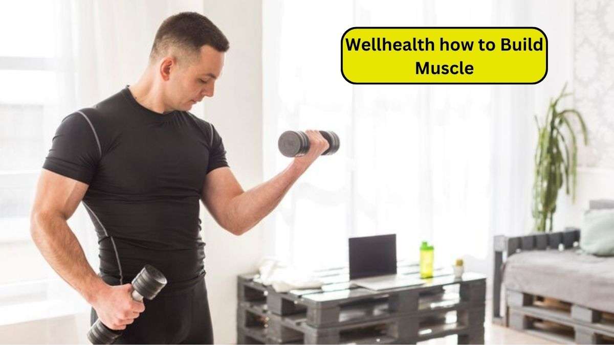 Wellhealth how to Build Muscle